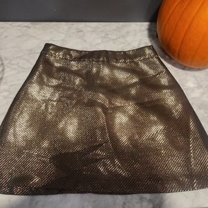 Metallic skirt "A line "